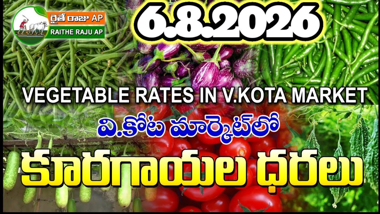 #AMC V.KOTA TODAY BEANS PRICE IN MARKET #ALL VEGETABLE PRICES #marigold 