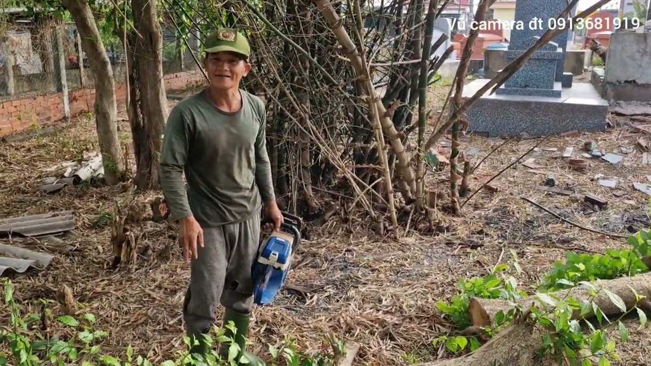 Thợ cắt cây khu mộ người Hoa ở Bình Đại 