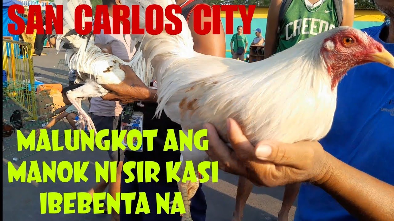 May 18, 2024 Presyo ng manok sa San Carlos City LIVESTOCK MARKET sa PANGASINAN #livestockmarket