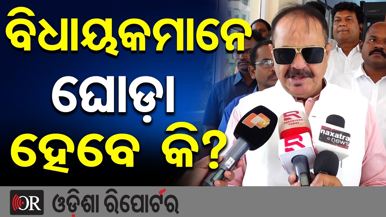 ବିଧାୟକମାନେ ଘୋଡ଼ା ହେବେ କି?: ତାରା  | Odisha Reporter
