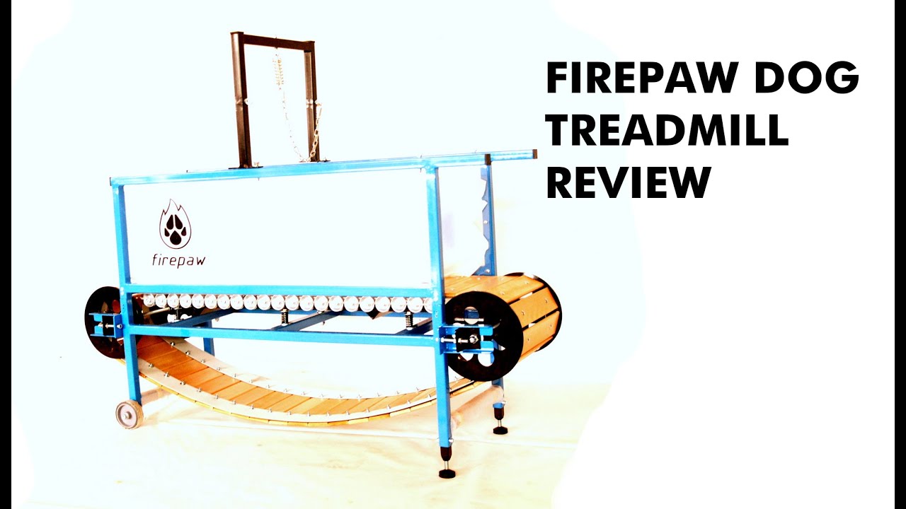 firepaw dog treadmill review