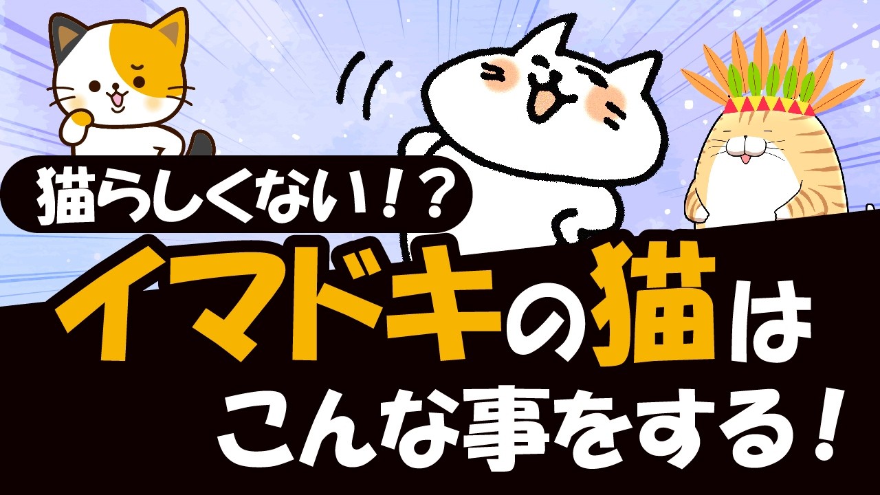 猫本来の習性・行動を全くしない！イマドキの猫の特徴を解説