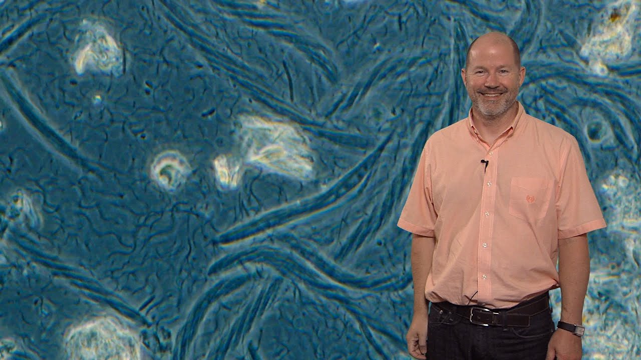 Jared Leadbetter (Caltech) 1: Termites and Their Symbiotic Gut Microbes