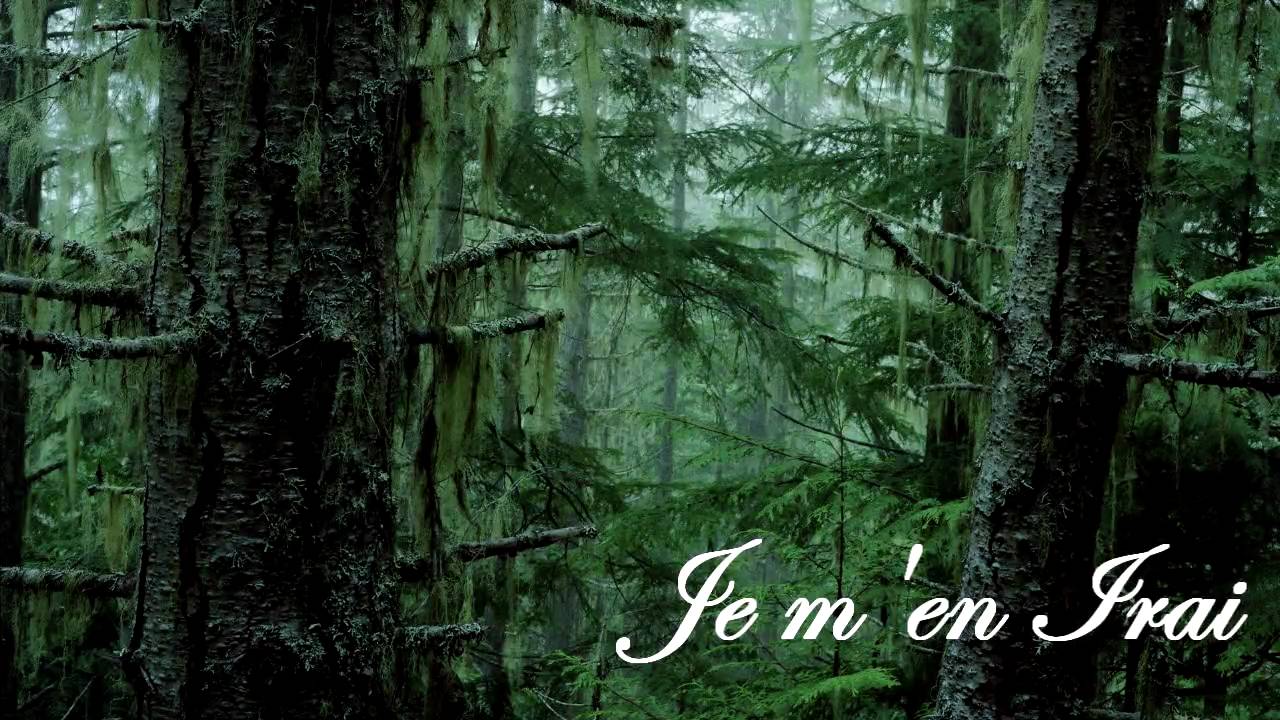 Dark Sanctuary - Je M'en Irai