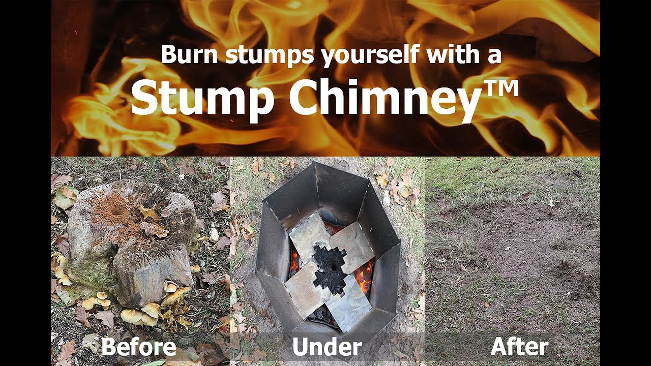Burn stump safely with a Stump Chimney, it takes 1 hour of working time. https://stumpchimney.com/