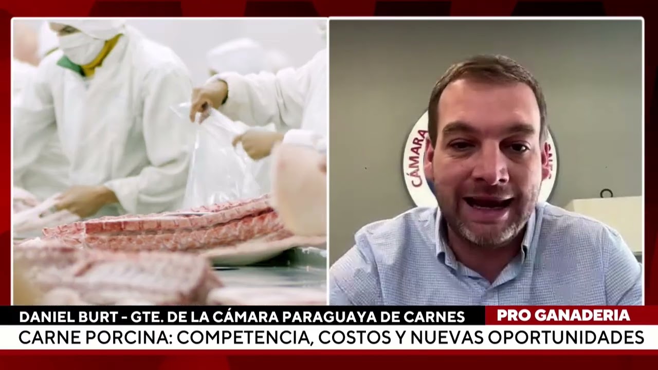 Carne porcina: competencias, costos y nuevas oportunidades