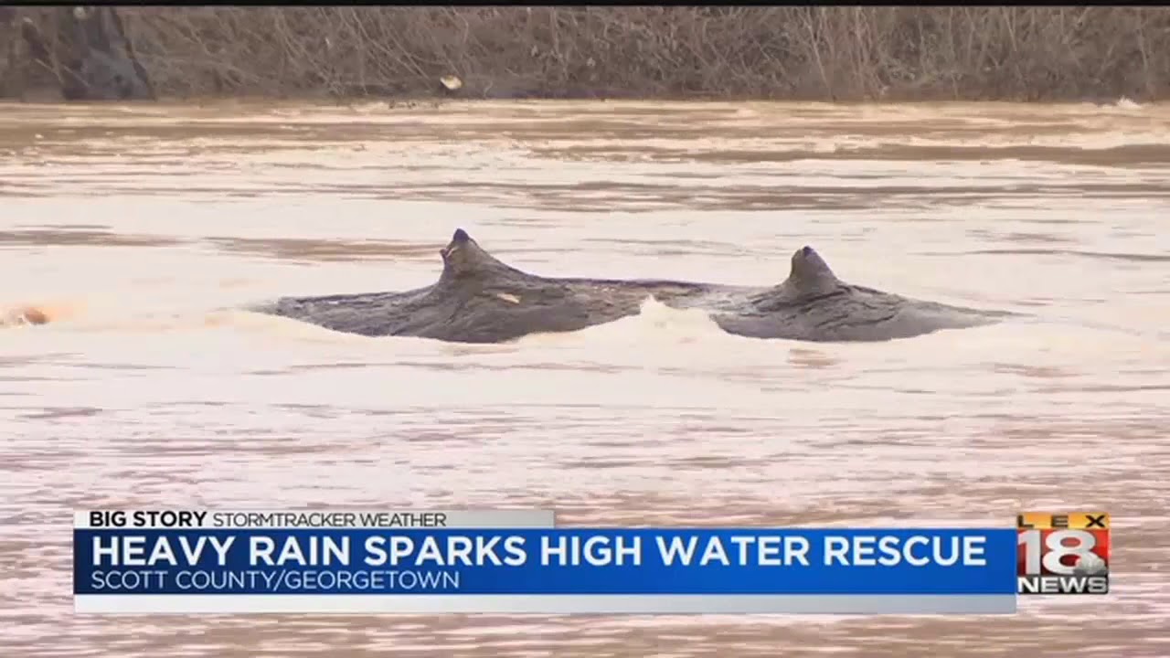 Heavy Rain Sparks High Water Rescue