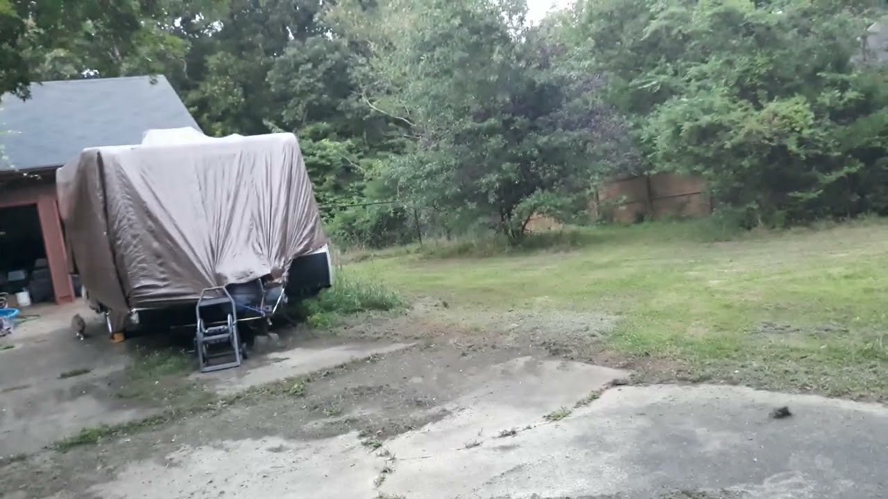 dusk singing cicadas
