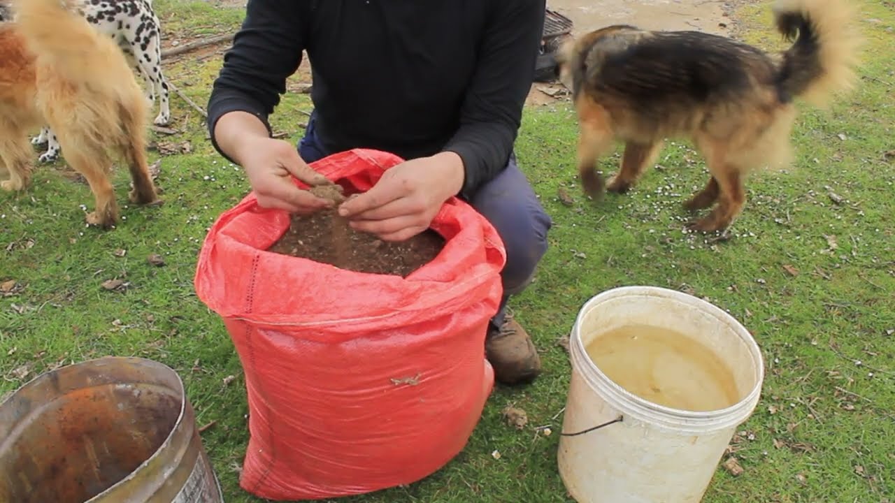 Como Desinfectar Tierra Para Almácigos. Sin químicos.