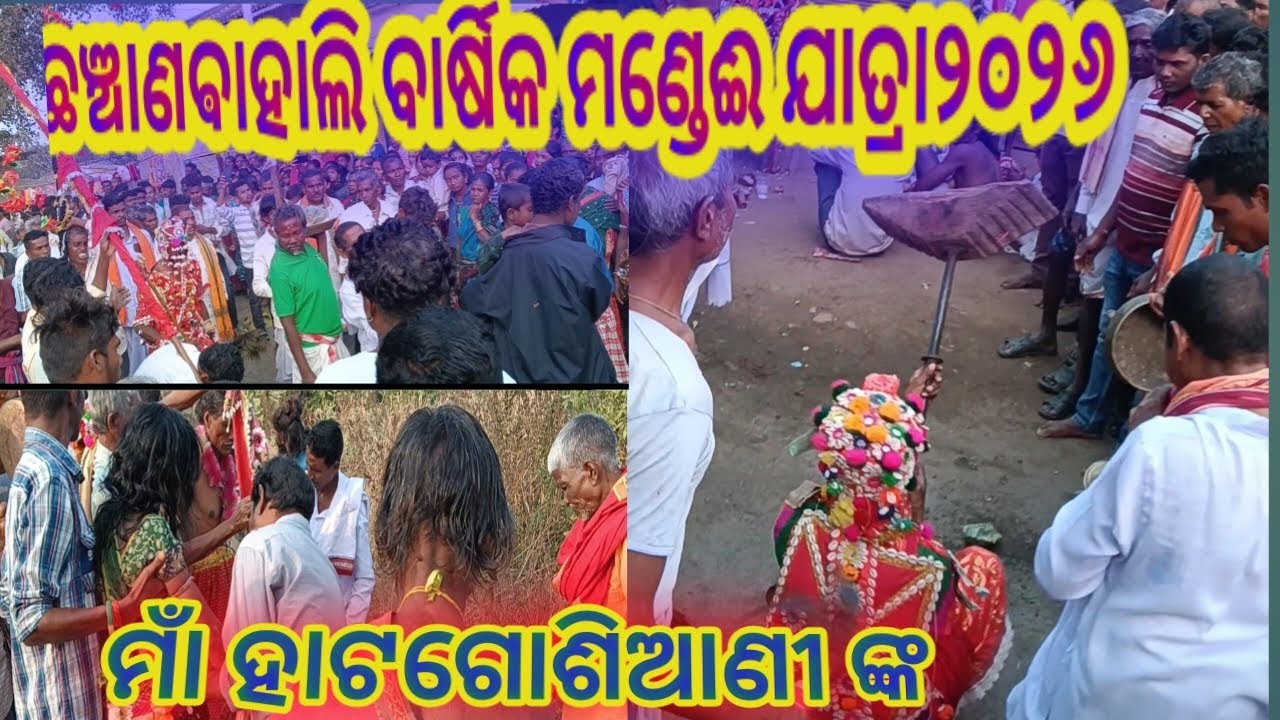 ମାଁ ହାଟଗୋଶିଆଣୀ ମଣ୍ଡେଇ ୨୦୨୬ | Hatgoshiani Mandei 2026 | Chhanchanbahali Jatra