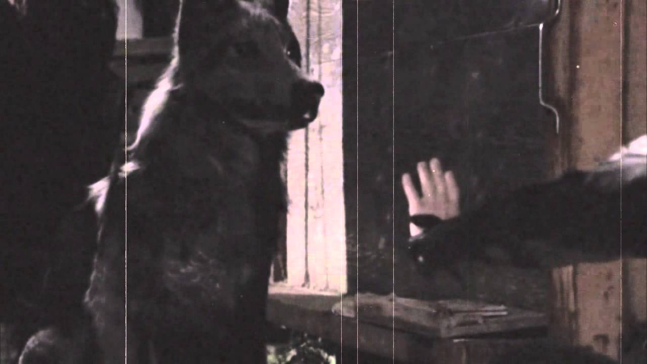 Dark Side - Frankenwolf OUAT