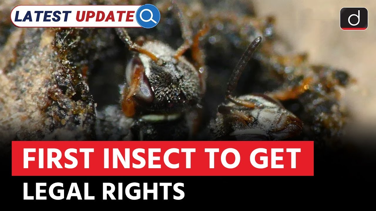 First Insects with Legal Rights | Amazon Rainforests | Latest Update | Drishti IAS English