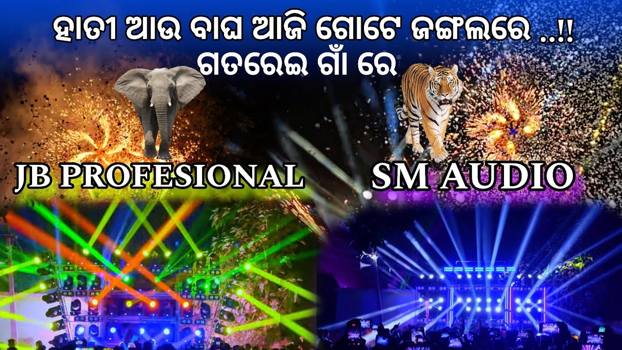 ହାତୀ ଆଉ ବାଘ ଆଜି ଗୋଟେ ଜଙ୍ଗଲରେ..!! Jb Profesional and SM AUDIO ♥️. 