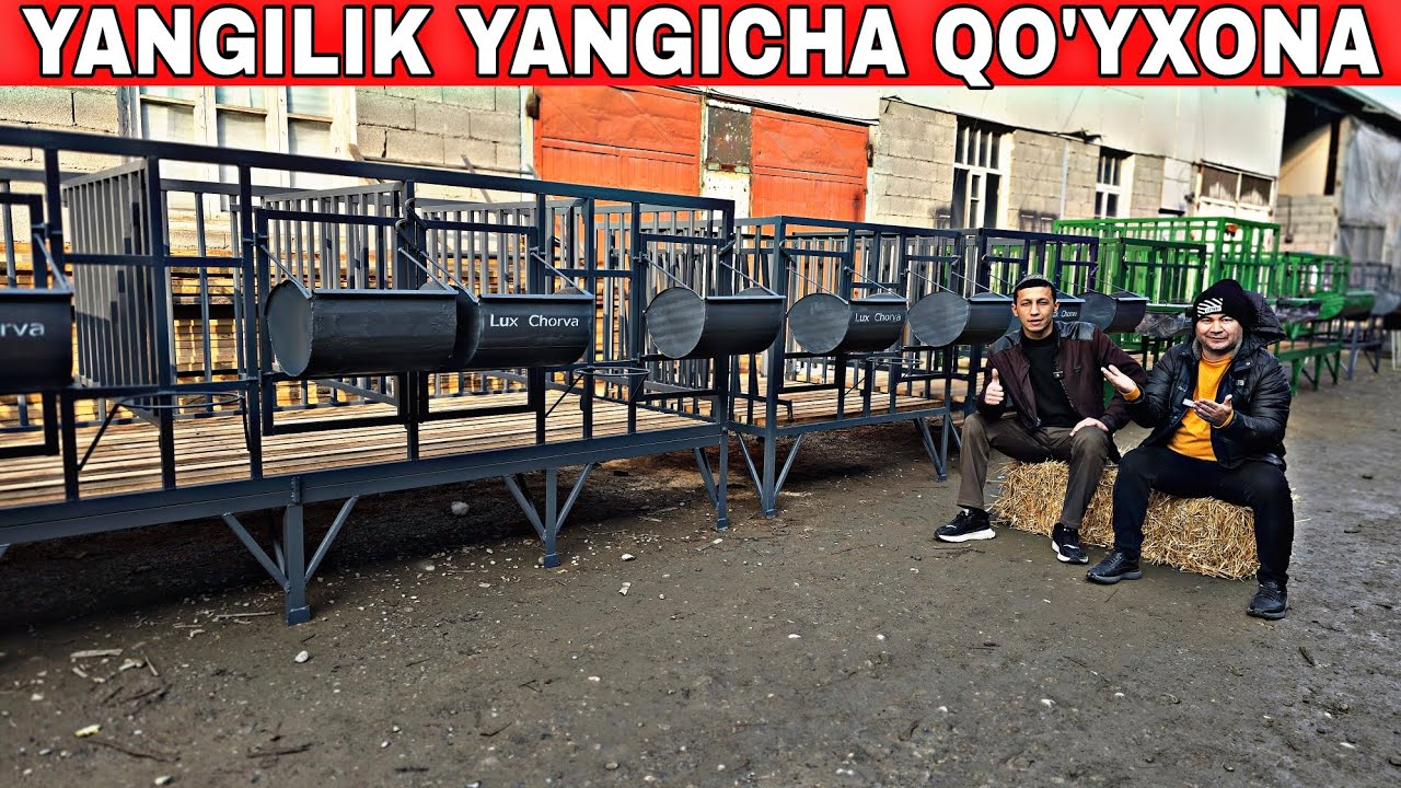 ZAMONAVIY LUX QO'YXONALAR ARZON JOYIDAN UZB BO'YLAB