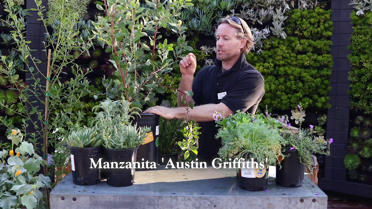 Water-Wise Plants for Your Garden with James Maxwell