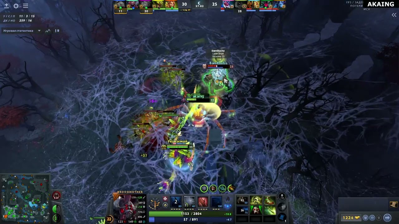DOTA 2 | AKAING BROODMOTHER 30