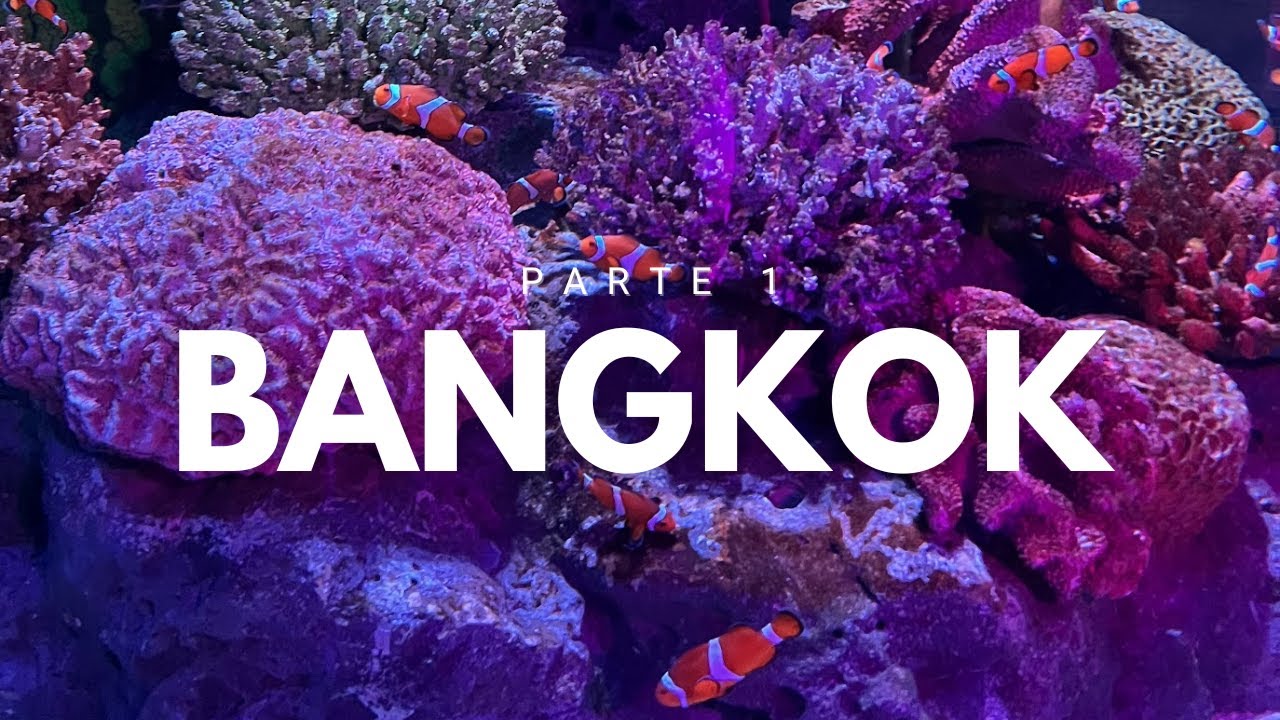 Bangkok Parte 1 | Tailândia Vlog🇹🇭 (Sea Life, Miffy Café, Junji Ito Collection Horror House, etc)