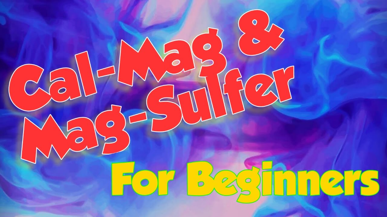 Когда использовать Cal-Mag или Magsulfer для начинающих