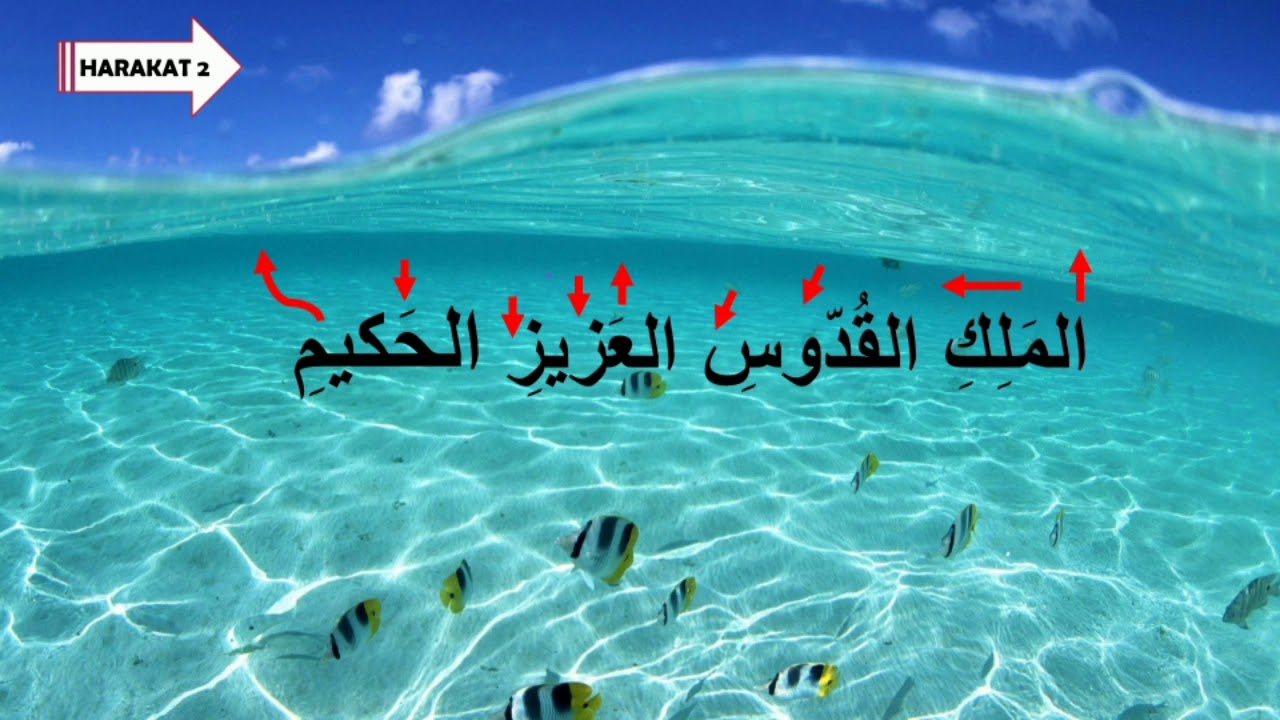 #Asas Tarannum Bayyati (Surah Al-Jumuah) 1.0 #Bayyati #Pemula
