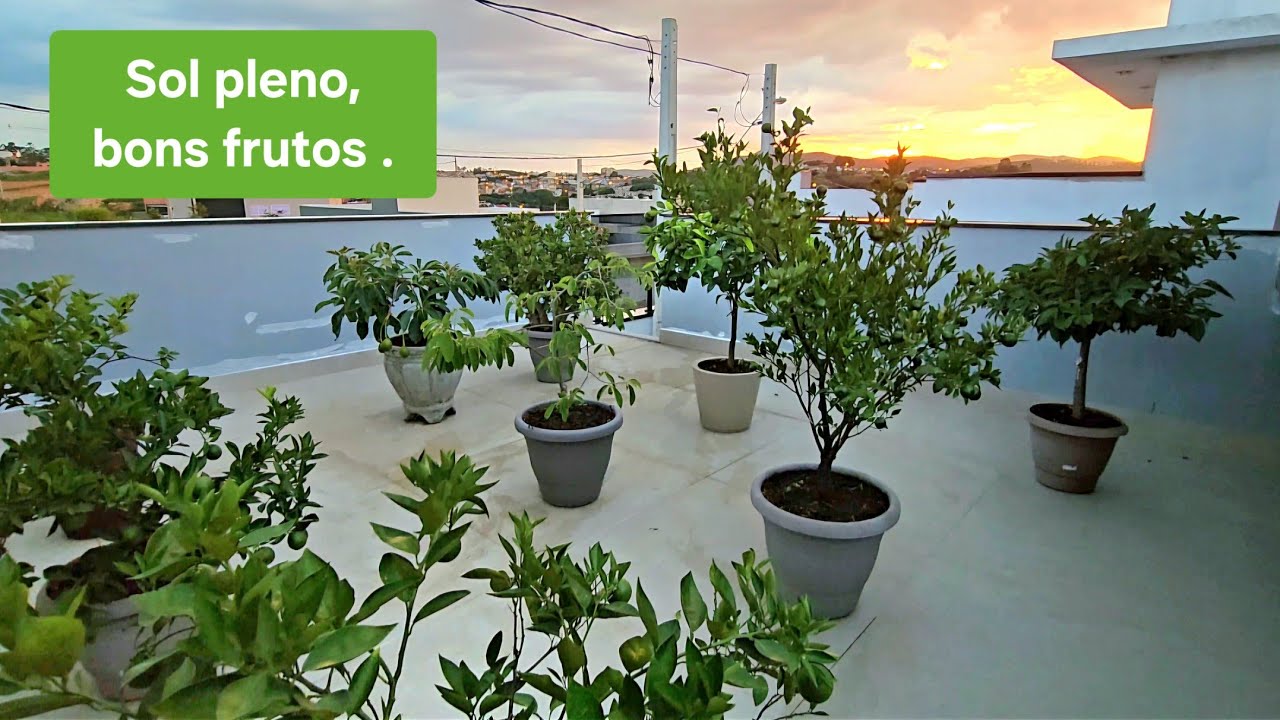 ÚLTIMO VÍDEO DO ANO E ELAS ESTÃO CARREGADAS.