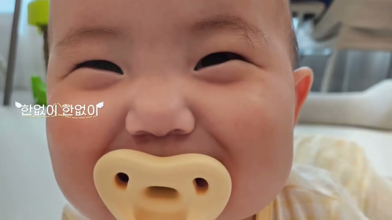 따봉이 12개월 성장동영상 ♥︎