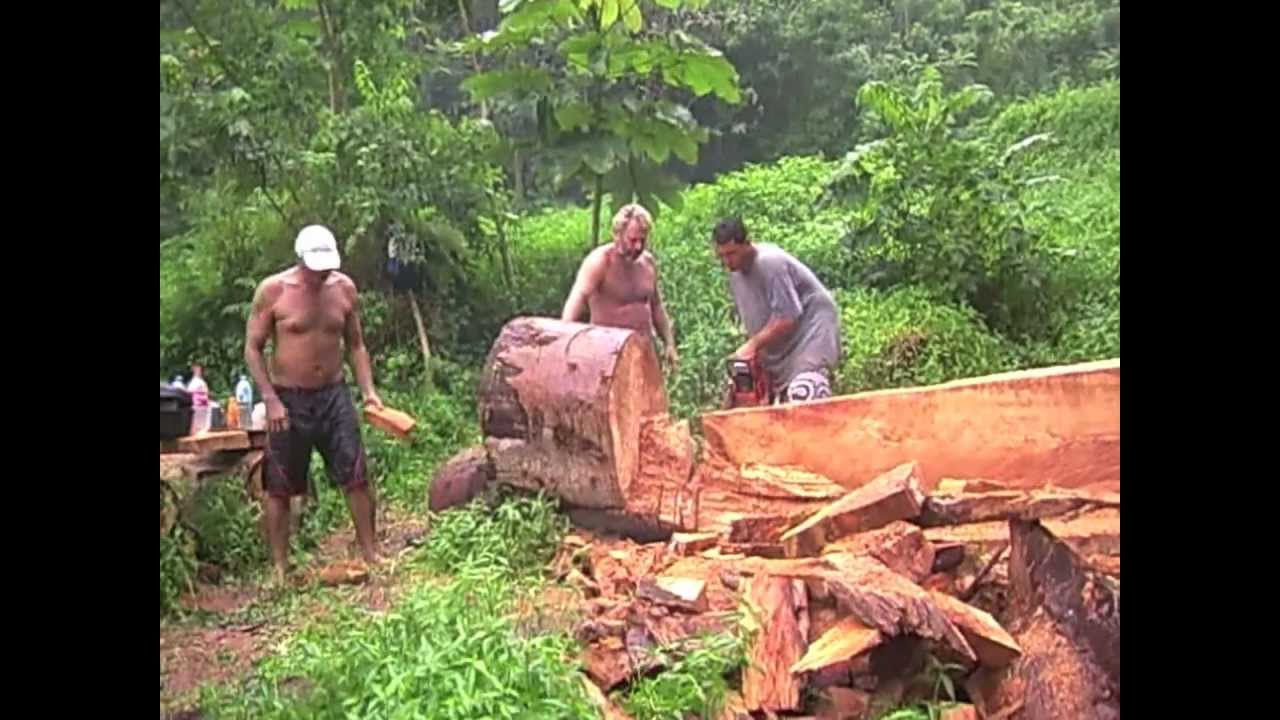 Frankenstein, ou la naissance d'une pirogue en bois