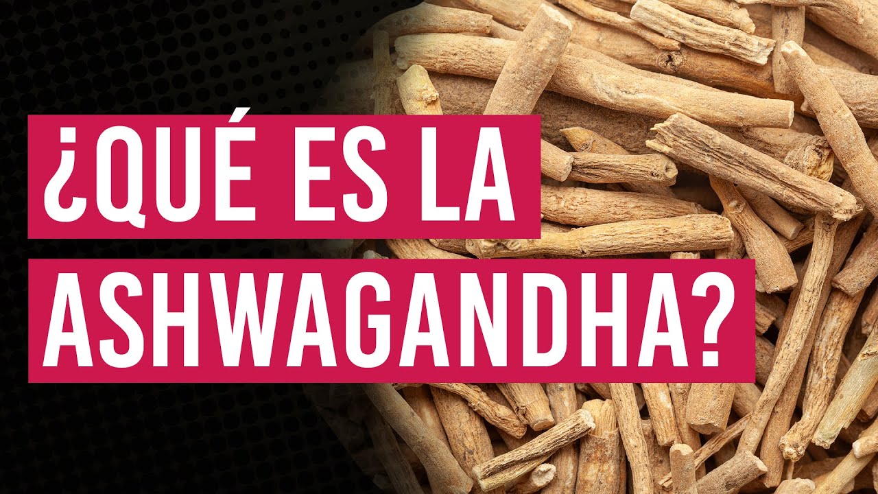 ¿Qué es la Ashwagandha? 🌿 ¿Para qué sirve? | Beneficios en el Deseo Sexual