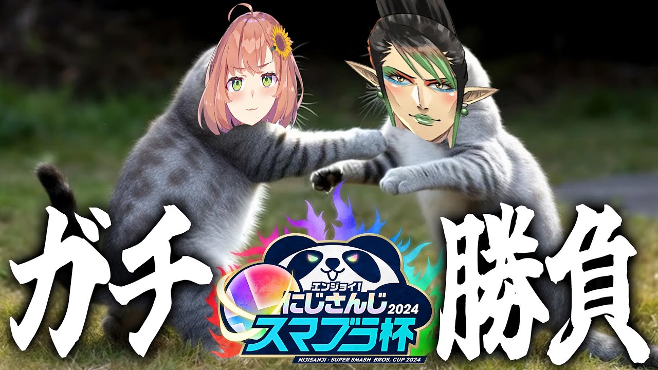【 スマブラ 】 エンジョイ！？　ウチらは、 