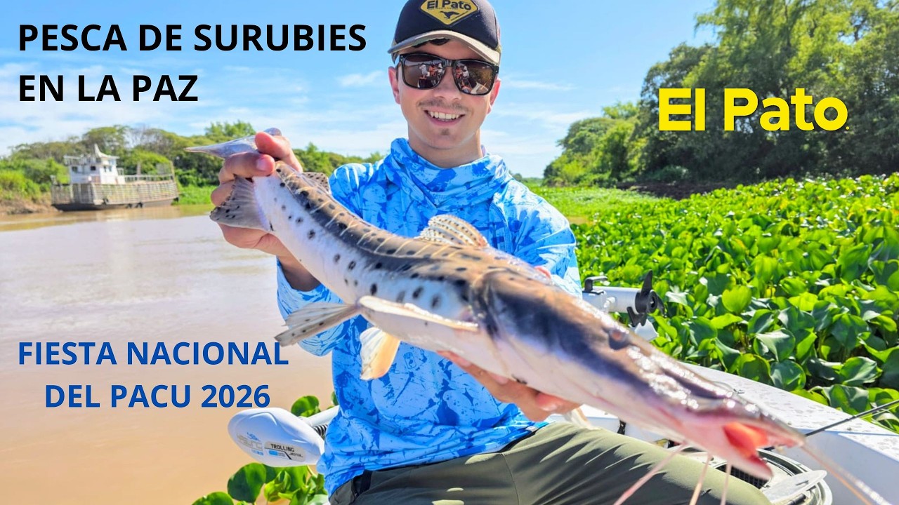 FIESTA DEL PACU 2026, SURUBIES EN LA PAZ Y NAUTICA AIRE LIBRE - EL PATO TV 1231