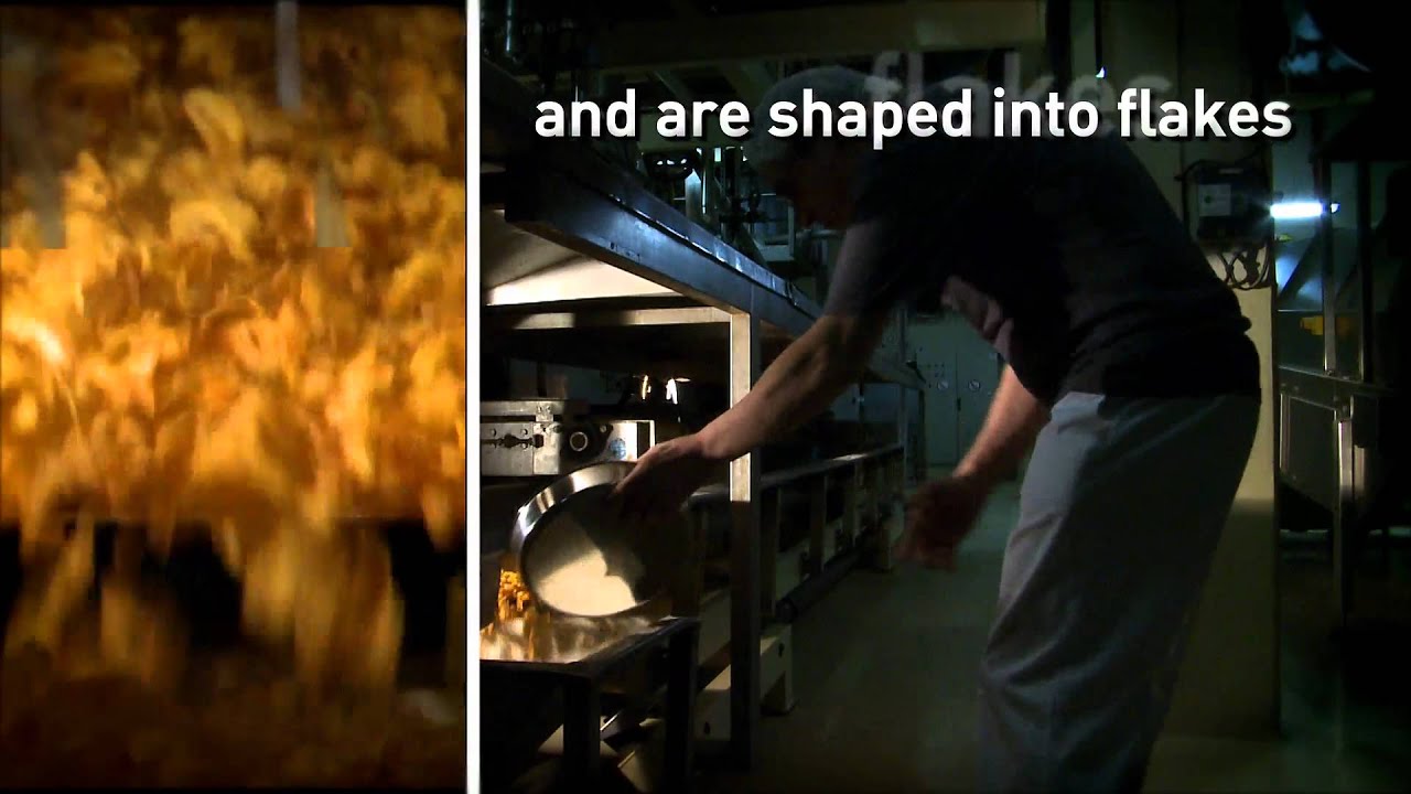 From the field to your breakfast bowl: how cornflake based cereals are made