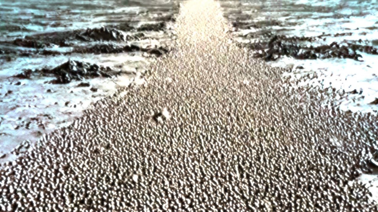 [GFW] SSS • Drone Surveillance A/14