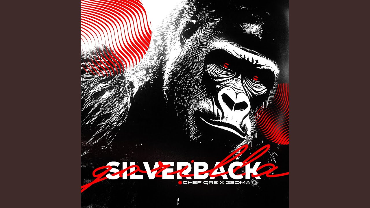 Silverback Gorilla