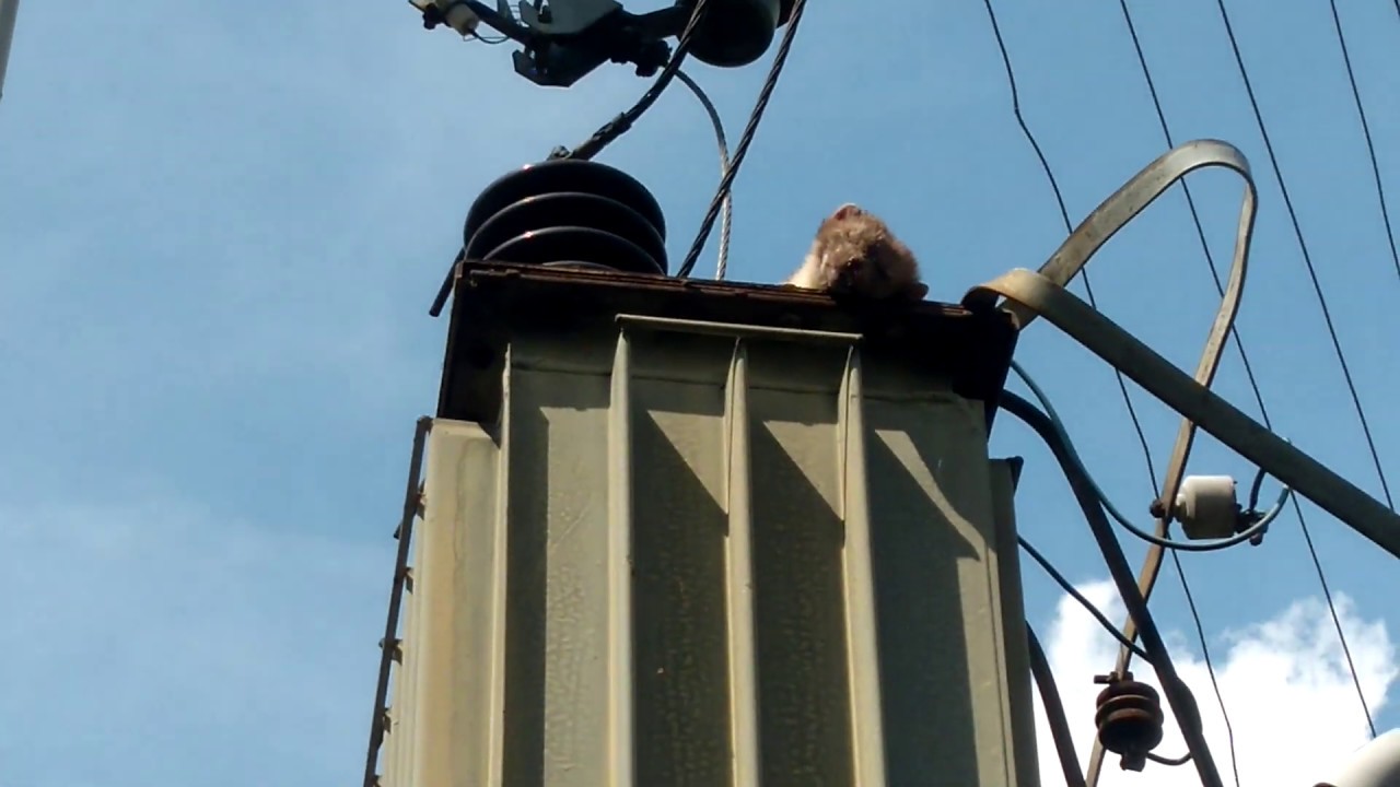 why the transformer does not work / dlaczego trafo nie działa