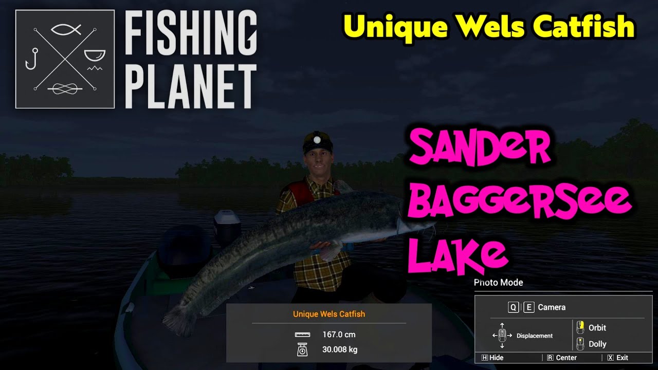 Unique Wels Catfish Sander Baggersee Lake - Fishing Planet