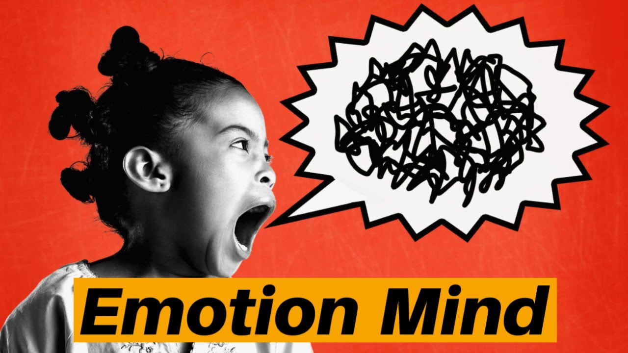 DBT Wise Mind