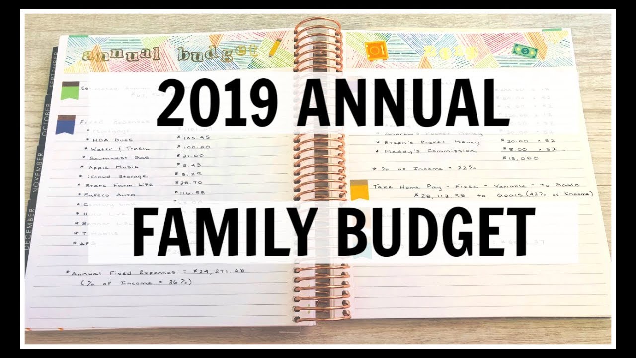 2019 Budget Planner Set Up | Our Family's Annual Budget | Erin Condren Deluxe Monthly Planner |