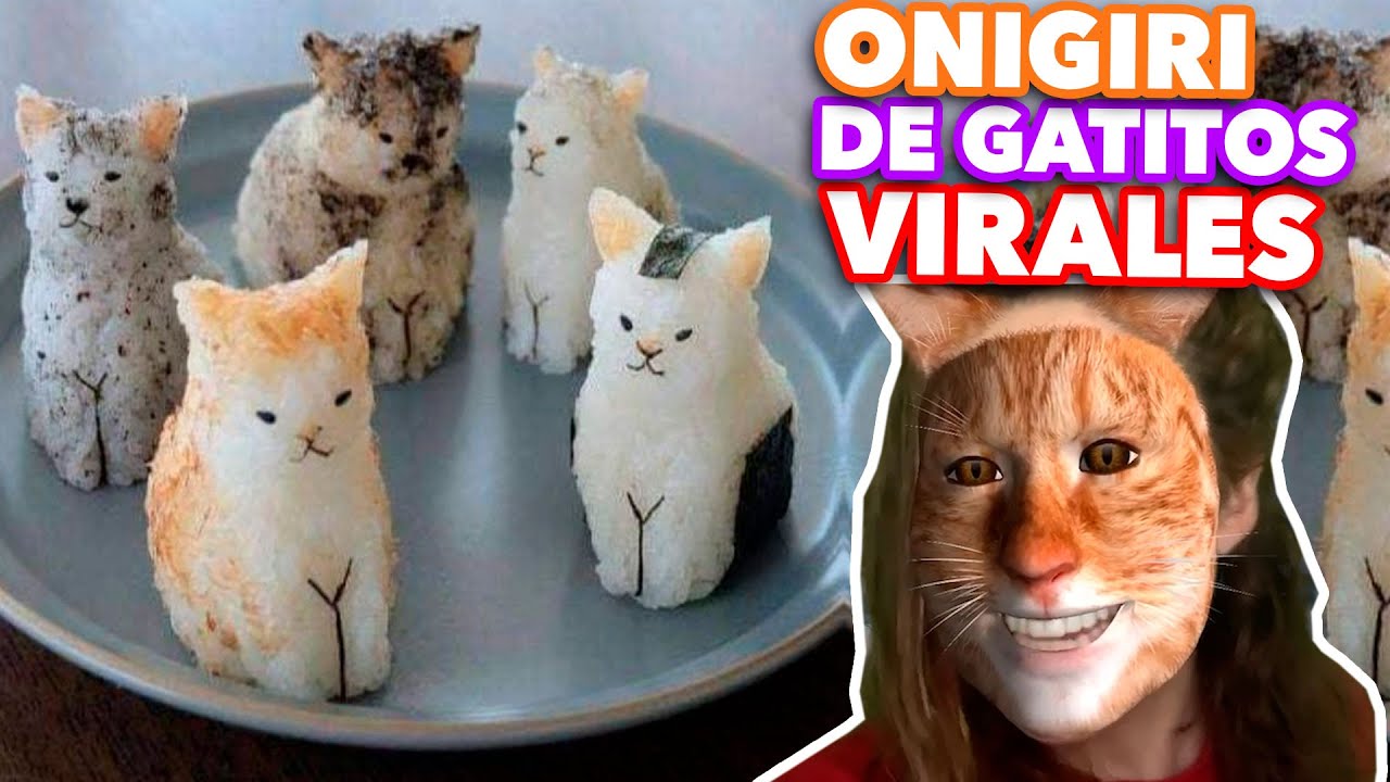 Onigiri 🍙 de gatitos 🐱 virales. EXPECTATIVA/REALIDAD.