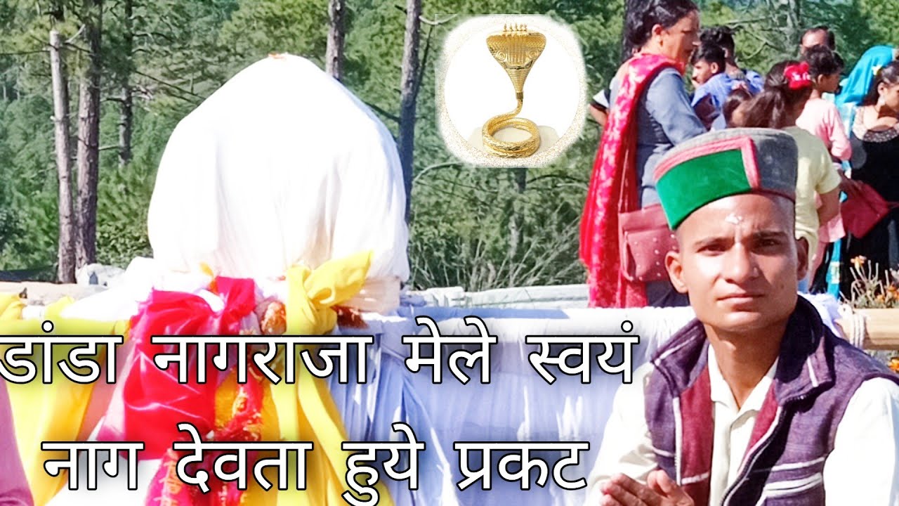 साक्षात नागराजा जी के दर्शन//डांडा नागराजा देवता मेला