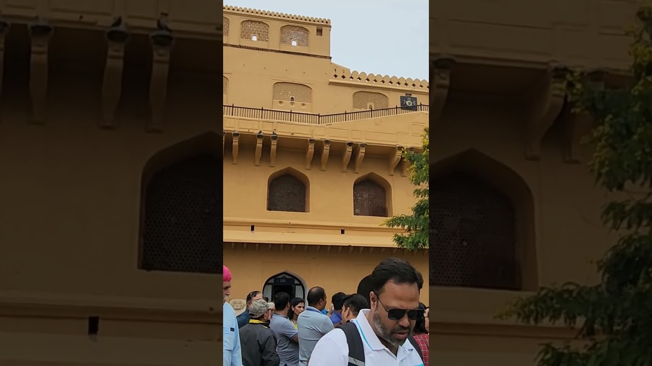 #jaipur#rajasthan #pinkcityjaipur#travel#amerfortjaipur#india