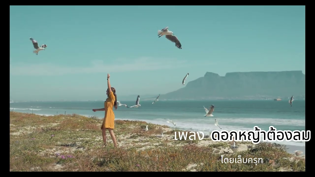 เพลง ดอกหญ้าต้องลม   โดยเล็บครุฑ
