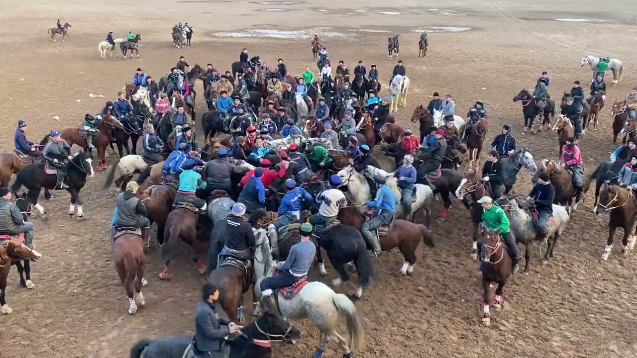 15.02.2026 Коля шабандоз Арыс көкпар