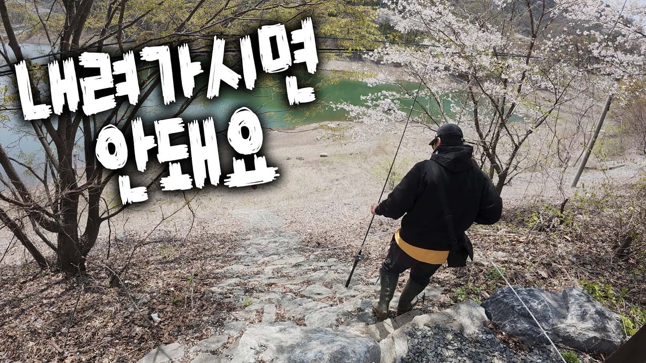 겁대가리 없이 청풍호를 가자고 해??? 2편갑니다