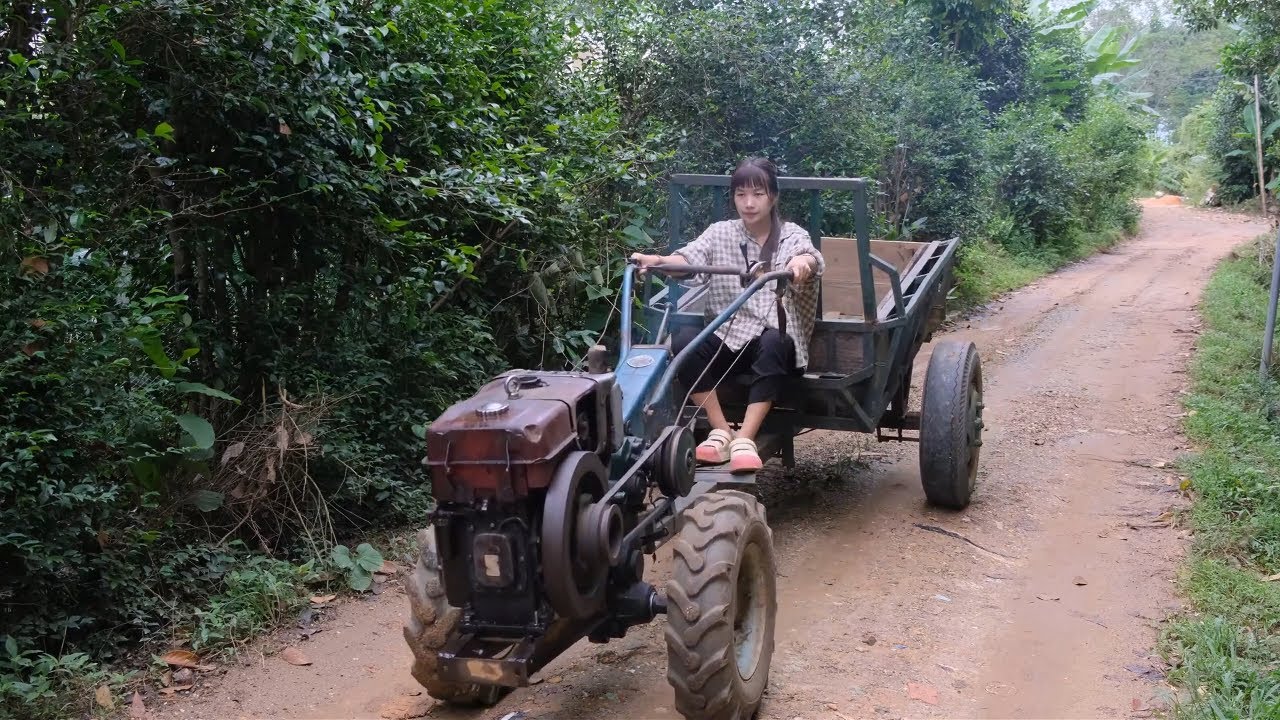 Living alone in the countryside, the girl practices driving a tractor on the country road - Ep 235