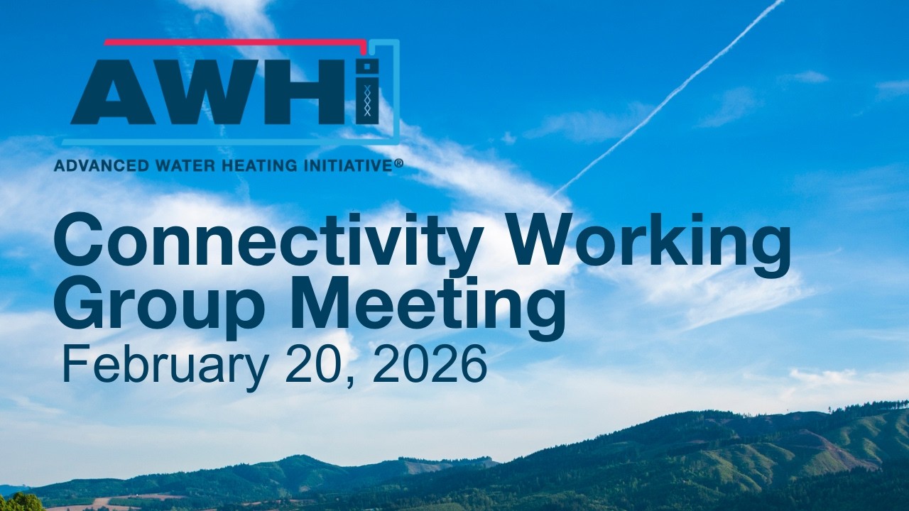 February 2026 Connectivity Working Group Meeting