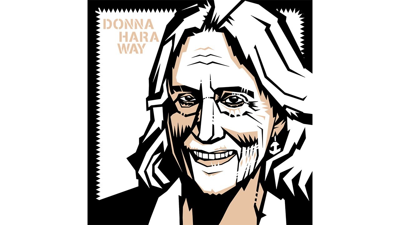 tl;dr #11: Donna Haraway: Unruhig bleiben - tl;dr