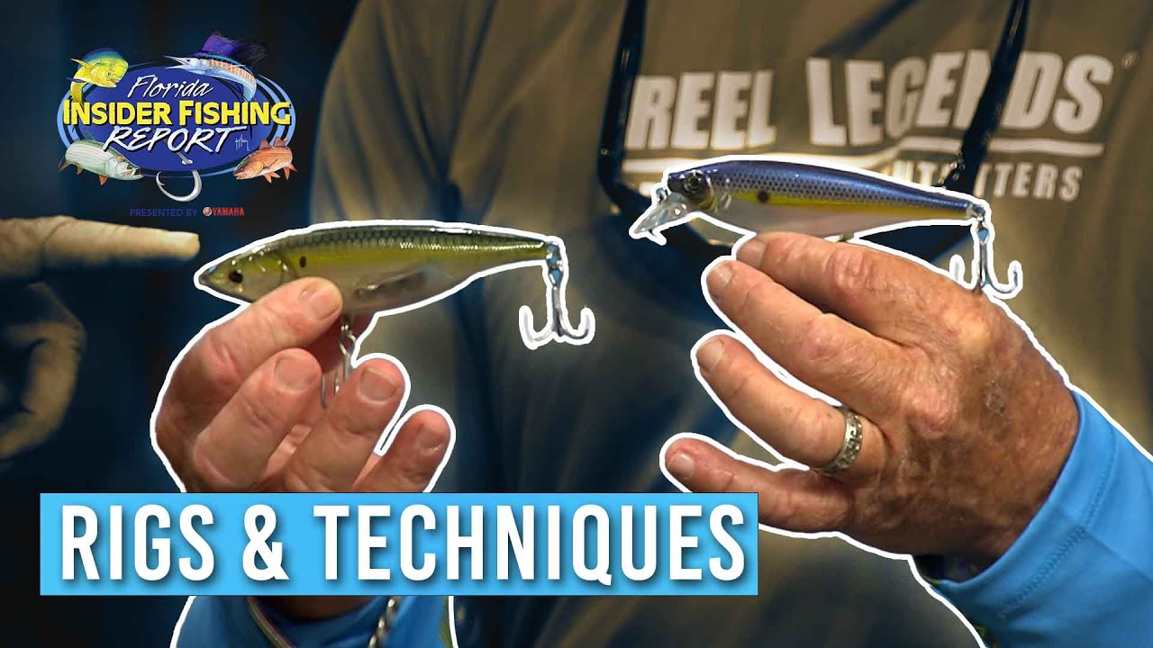 Elevate your Snook Fishing with these Rigs & Techniques - Florida Insider Fishing Report - 2023