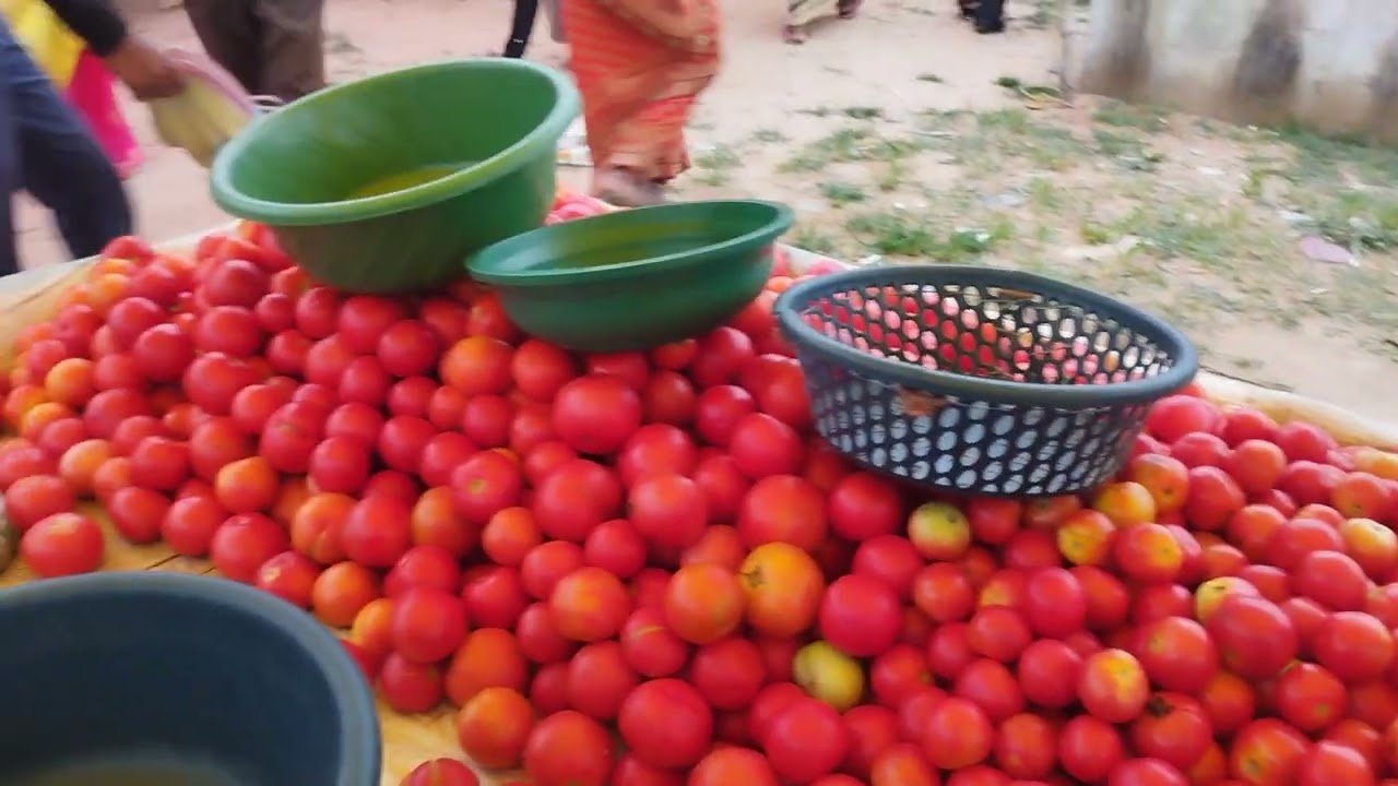 Tamatar Selling