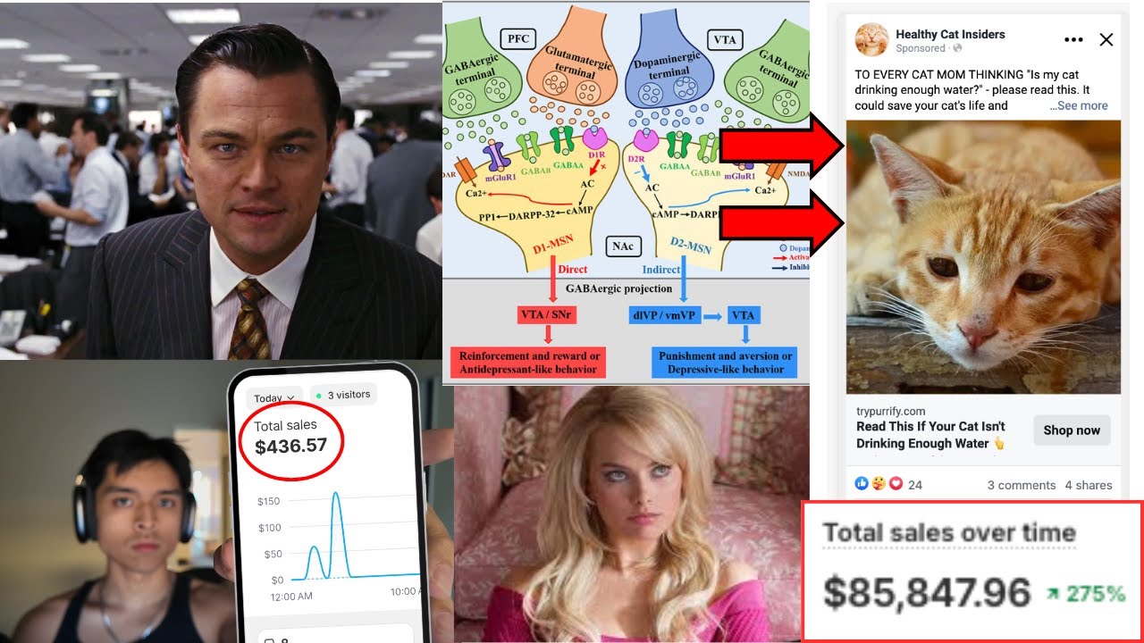 how to start a profitable branded dropshipping business (in 5 simple steps)