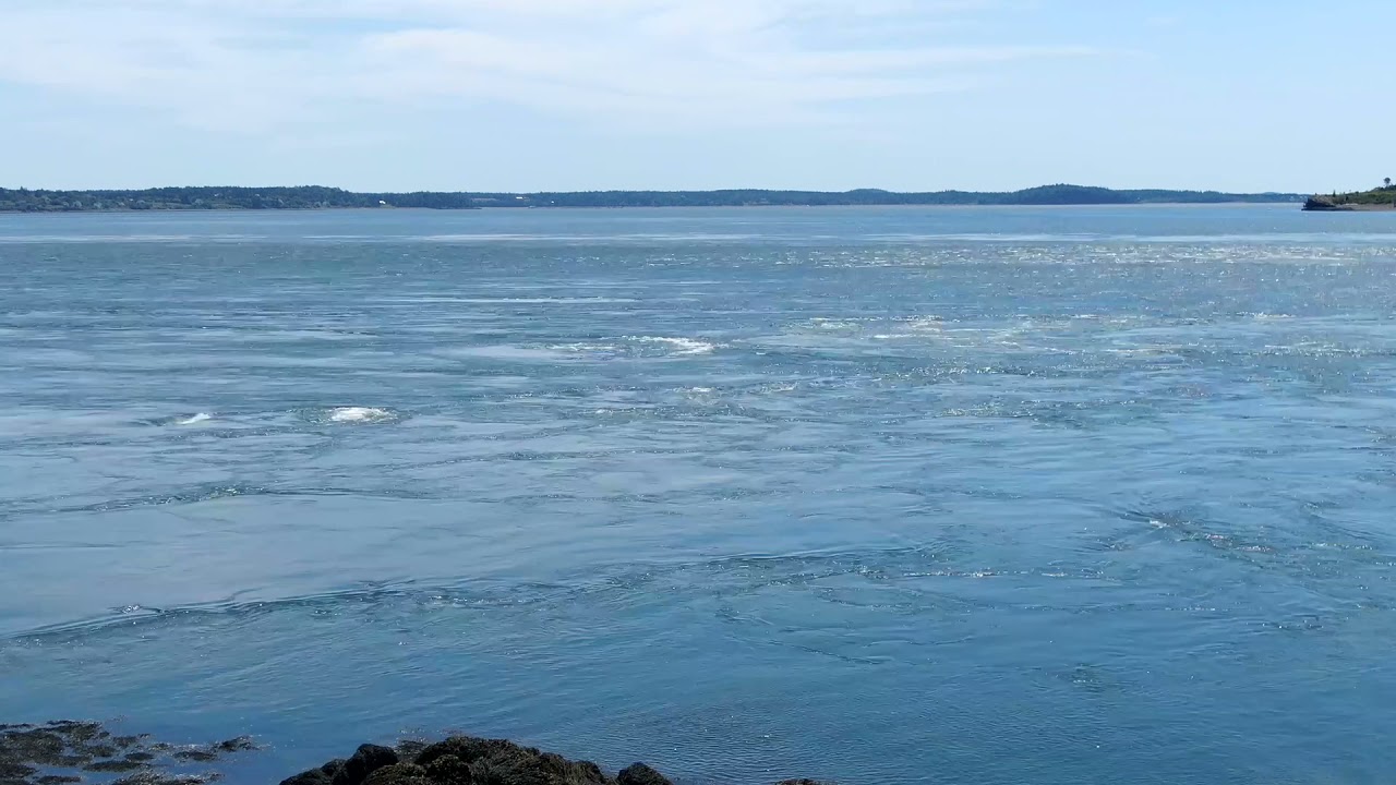 Deer island - Old Sow whirlpool - Time-lapse footage