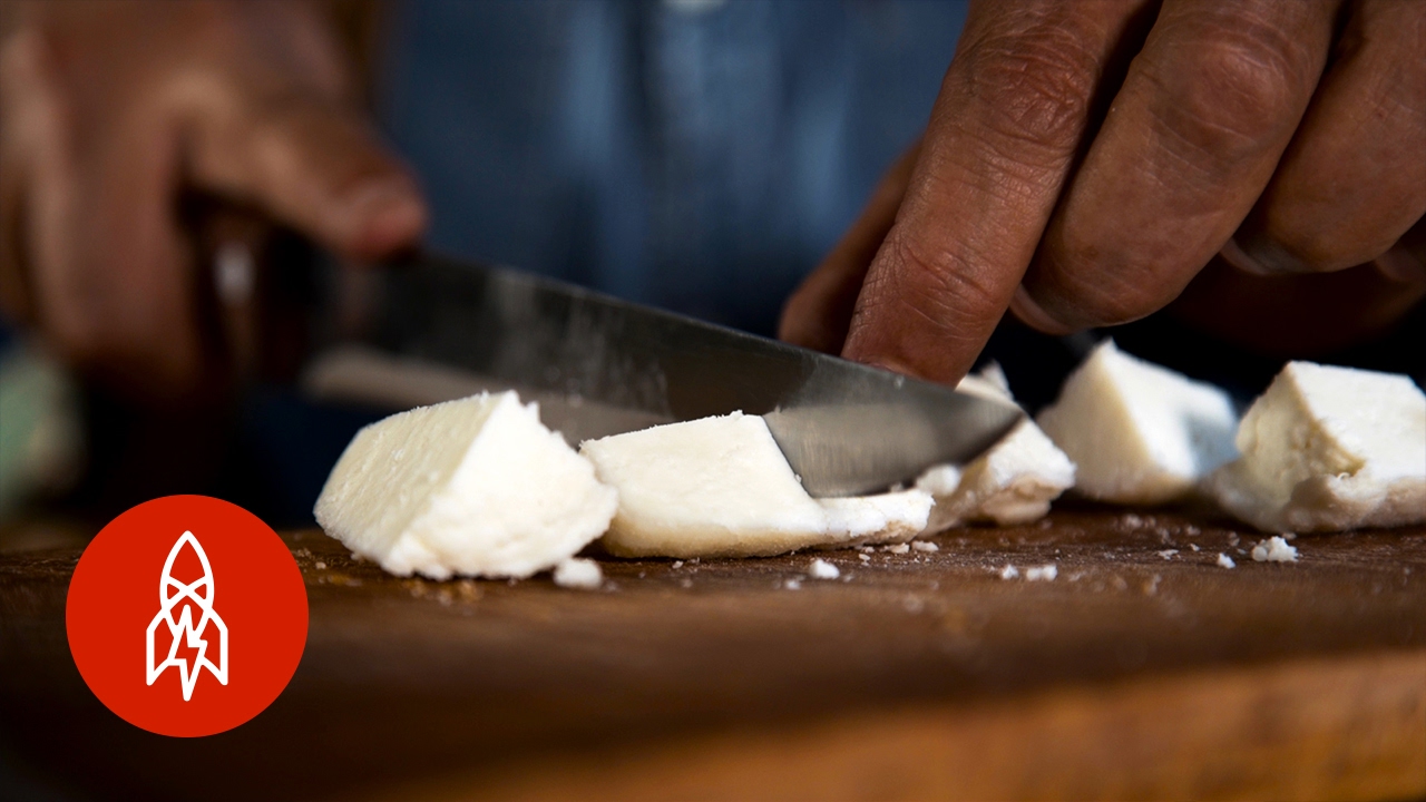 The World's Priciest Cheese Is Made from Donkey Milk